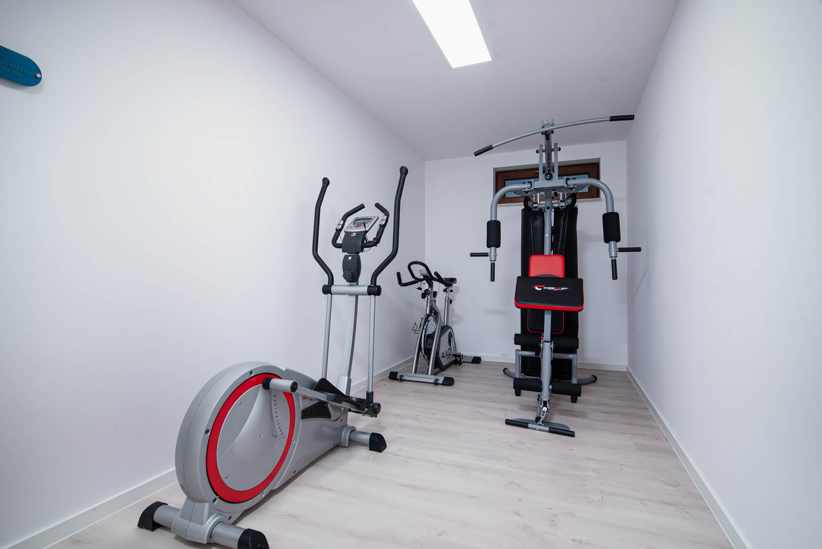 sport